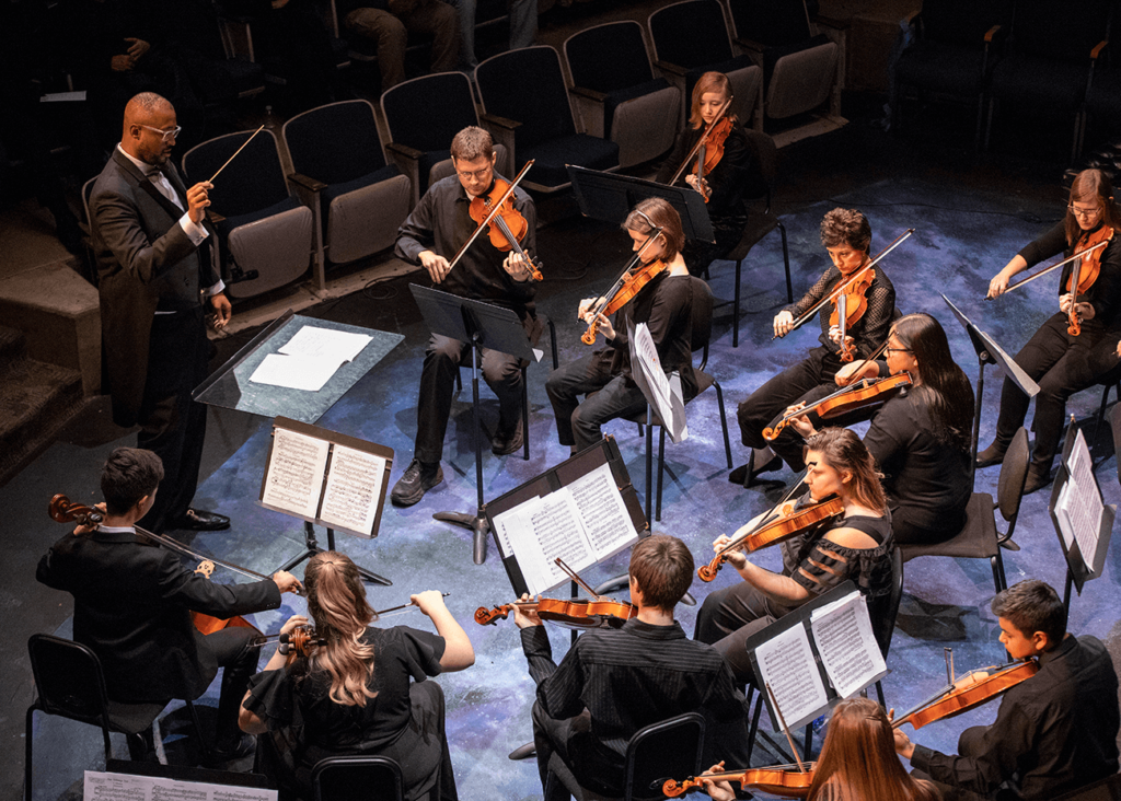 Orchestra performance